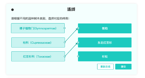 多样化教学游戏1